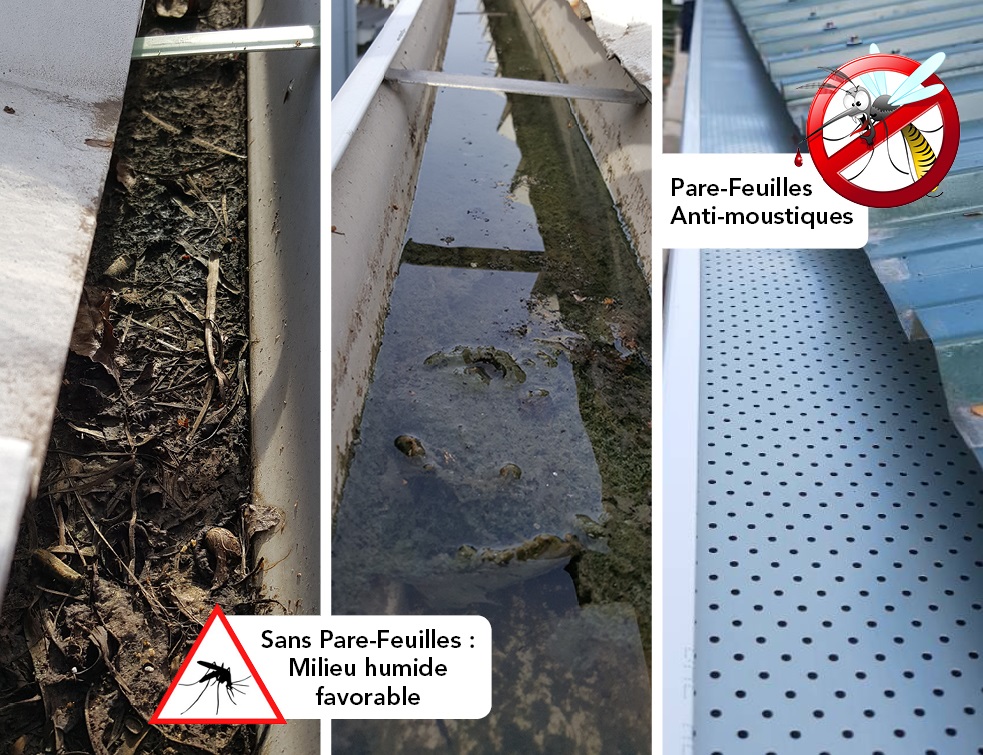 Ne laissez pas vos gouttières devenir un nid à moustiques !